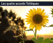 Les quatre accords Toltèques